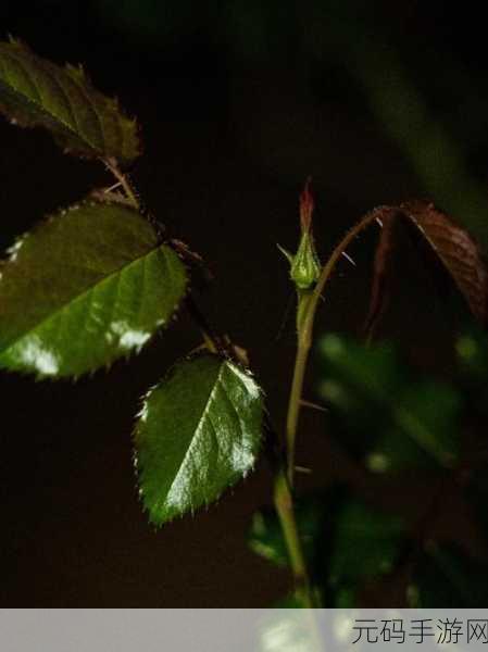 水蜜桃香蕉含羞草：1. 水蜜桃与香蕉的甜美交响曲