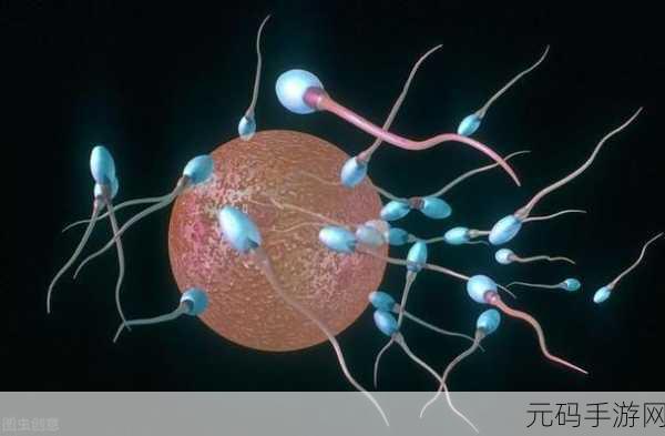 系统需要收集n多精子升级：1. 精子采集技术的最新进展与应用前景