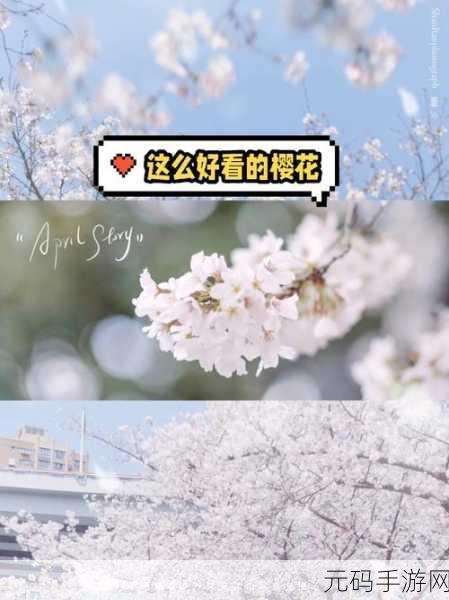 我们换个地方做樱花是什么歌：当然可以，这里有一些基于“换个地方做樱花”的新标题建议：