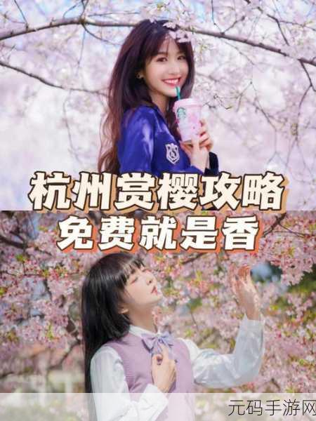 我们换个地方做樱花是什么歌：当然可以，这里有一些基于“换个地方做樱花”的新标题建议：