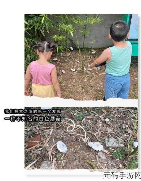 我拿我的妹妹做实验:1. 用妹妹的日常生活探索心理实验的奥秘