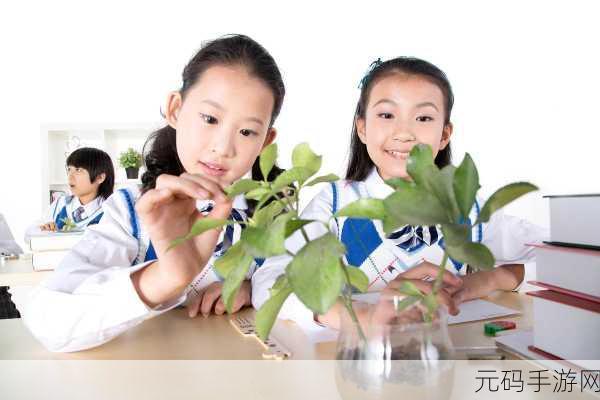 我拿我的妹妹做实验:1. 用妹妹的日常生活探索心理实验的奥秘