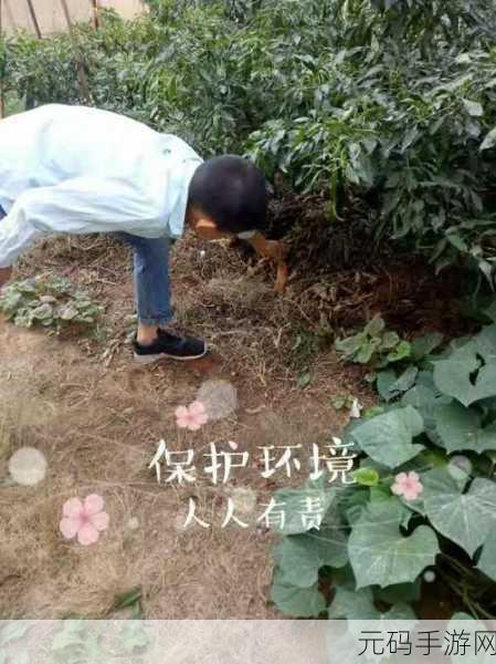 文明 6 手游,难不难?技巧大揭秘!