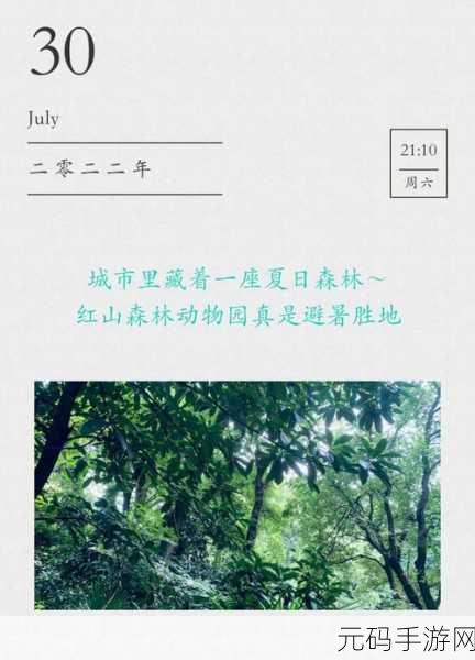 冬天的森林我和妹妹到森林去：1. 冬季森林探秘：我与妹妹的冒险之旅