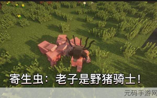 我的世界手机版新技能解锁，骑猪牛探险之旅