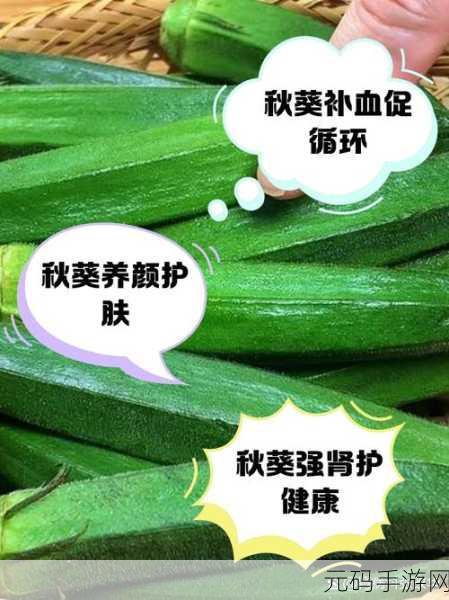 秋葵适合未满十八岁的人吃吗:1. 秋葵对未成年人健康的影响探讨