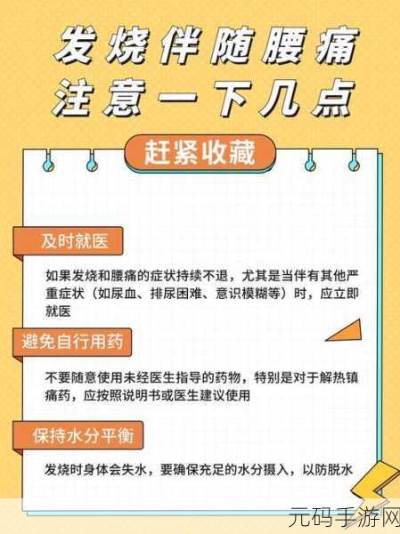 臭小子姨妈腰快断了:1. 臭小子的姨妈怎样应对腰痛与挑战