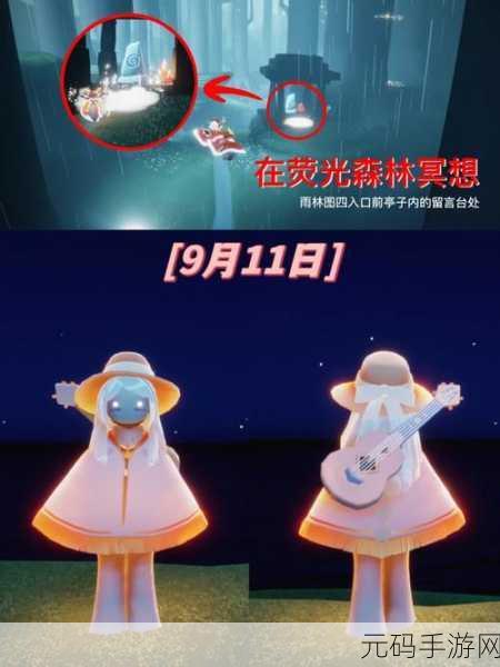 探秘光遇世界,荧光小菇与荧光森林冥想位置全解析