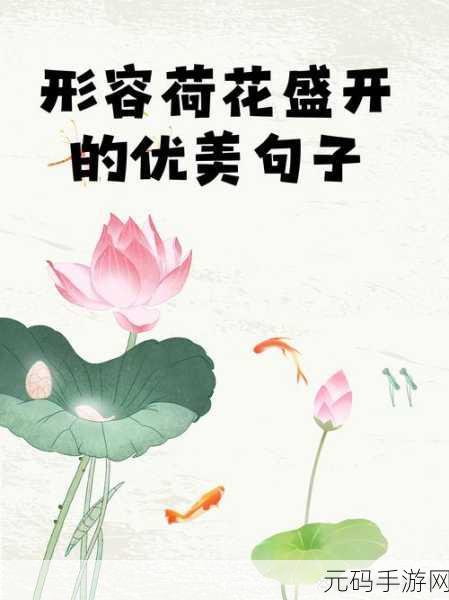 亭亭玉立的荷花国色天香的牡丹:1. 亭亭玉立,荷花映衬国色天香