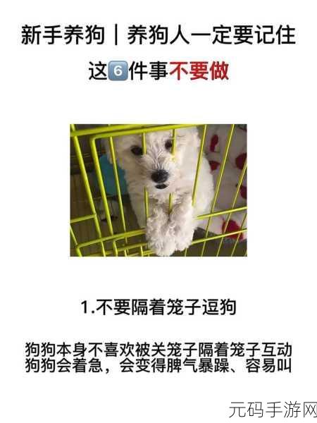 老公不在家狗狗的东西能要吗:1. 老公不在家,我能随意拿狗狗的东西吗?