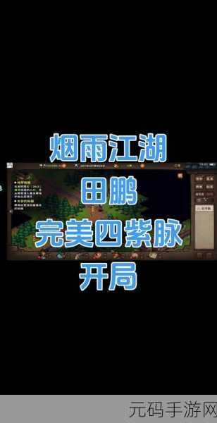 烟雨江湖田鹏武功搭配全攻略,打造最强拳法高手