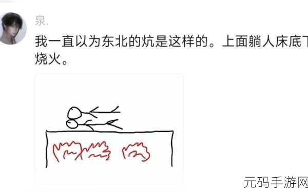 东北大炕虎子：1. 东北大炕的温暖与乡愁：虎子的故事