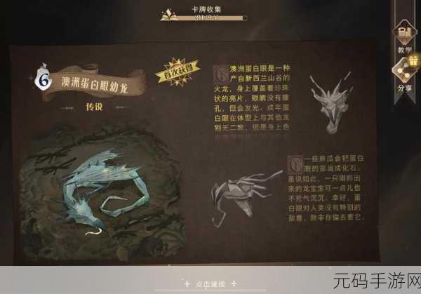 哈利波特魔法觉醒，厉火禁林探险全指南