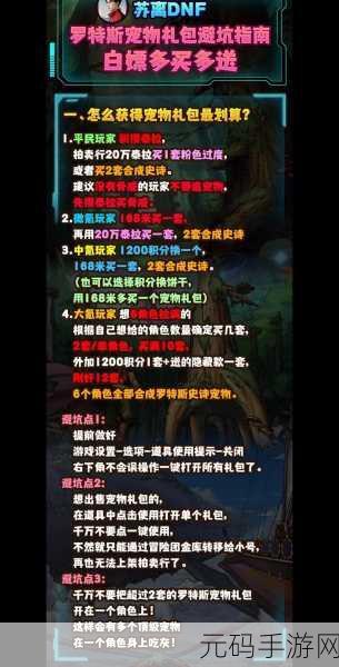 超值惊喜！DNF宠物装备豪华礼包大揭秘，专属福利等你来拿