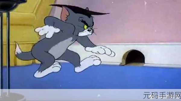 猫和老鼠欢乐对决,守洞艺术大揭秘
