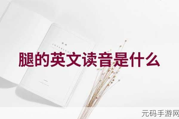 手游走在腿的最里面:当然可以,以下是一些根据“走在腿的最里面”拓展出的新的
