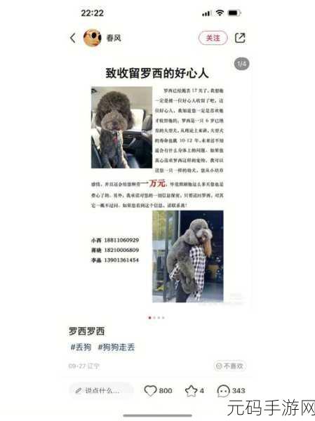 一人㖭上面二个㖭下边转发量破亿:1. "亿级转发量背后的故事与启示