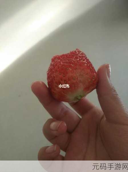 迈开腿吃草莓方法:1. 迈开腿,享受草莓的清新滋味