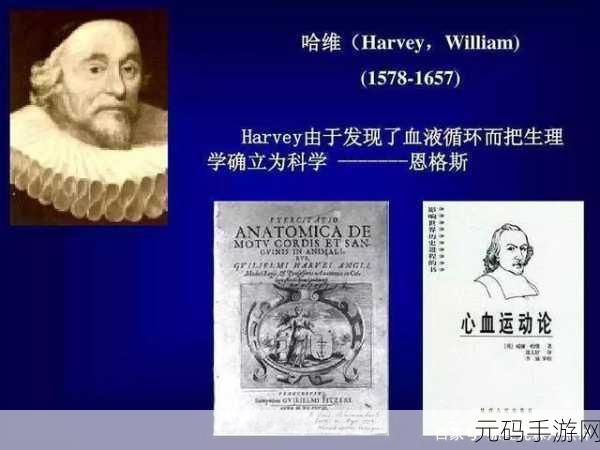 龟波x功：1. 龟波理论：从经典到现代的科学探索