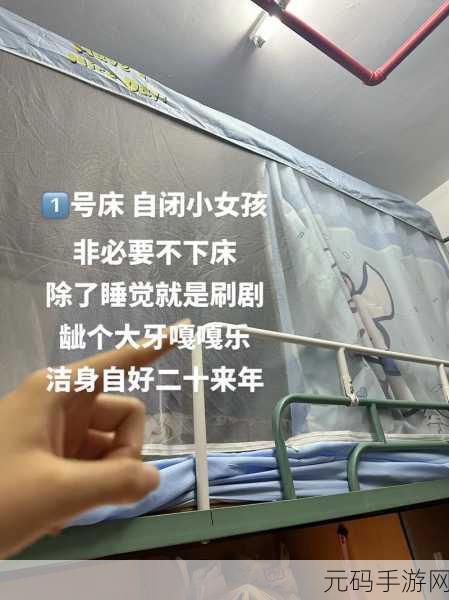 解锁室友的N种方式：1. 解锁室友关系的N种创意方法分享