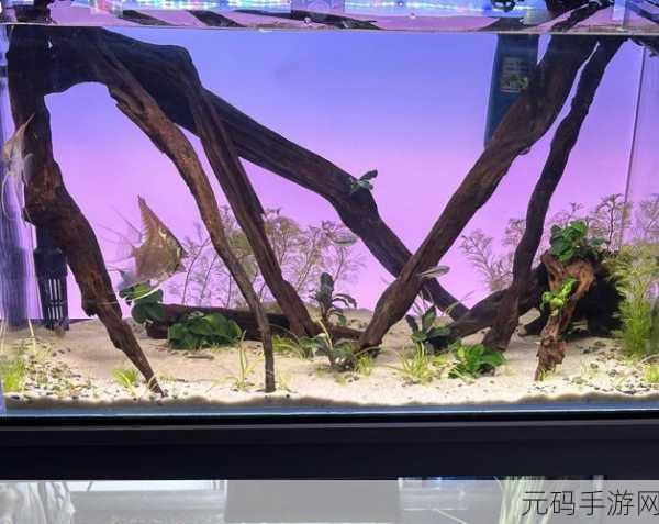妄想山海紫色鱼缸制作全攻略，解锁梦幻水族新篇章