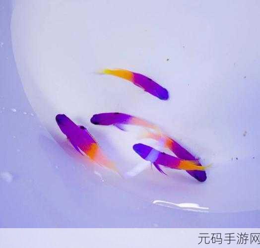 妄想山海紫色鱼缸制作全攻略，解锁梦幻水族新篇章