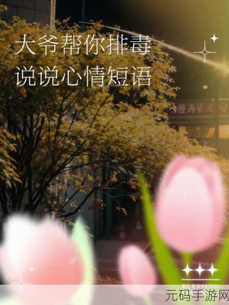 大爷是在帮你排毒:1. 大爷教你如何轻松排毒,焕发新生