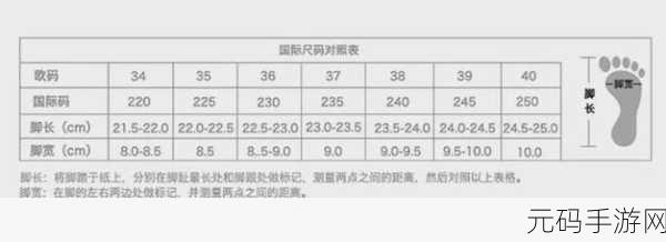 亚洲码与欧洲码一二三区别：1. 亚洲与欧洲电码：一二三的深度解析