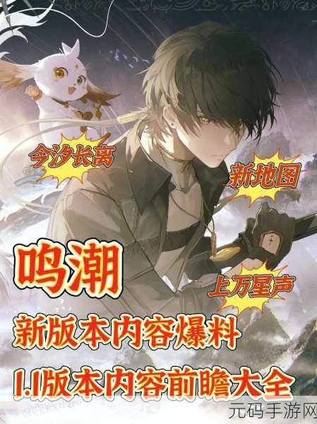 鸣潮世界新纪元,深度剖析声骸养成系统实战策略,抢先体验测试服精髓