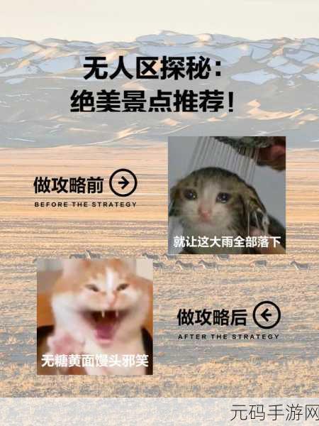 无人区码一码二码三：1. 无人区探秘：解锁未知的神秘领域