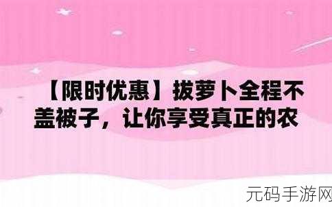 打扑克时为什么不盖被子:1. 打扑克时为何选择不遮掩秘密