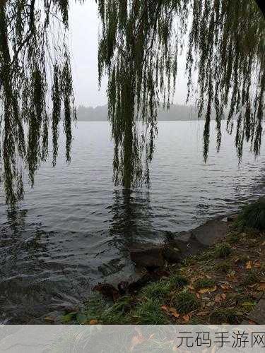 钶钶钶钶钶钶钶水好多好：1. 钶钶钶水：探索无尽的美好与可能性