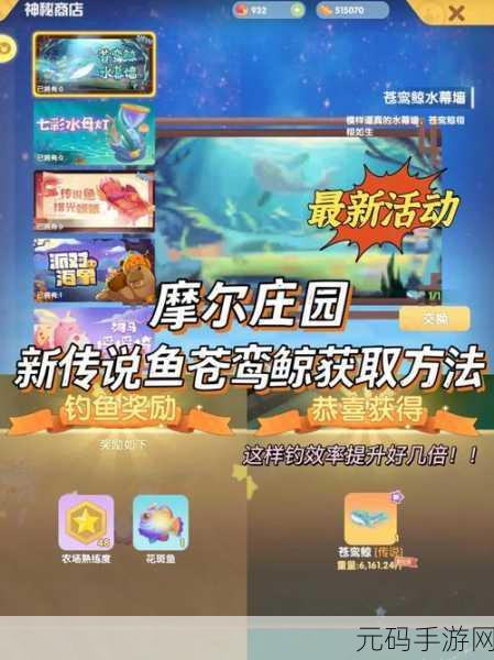 摩尔庄园，神秘太空探索终极指南 开启奇幻新征程