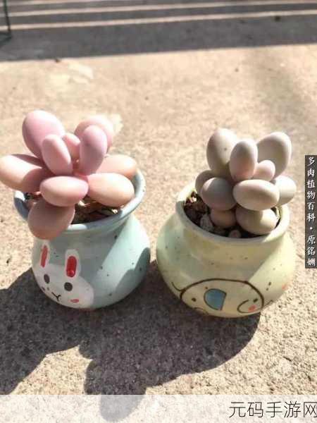 1V3多肉玉娇香HHHH口术：1. 多肉植物中的瑰宝：玉娇香的养护与观赏