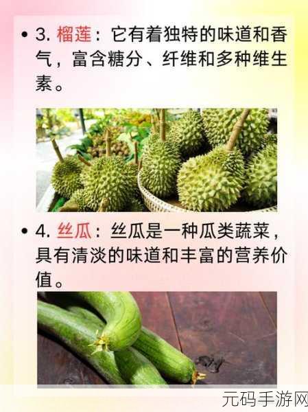 向日葵黄瓜榴莲丝瓜可以一起吃吗：向日葵、黄瓜、榴莲与丝瓜的搭配食用研究