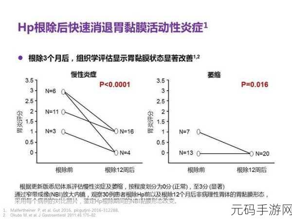 多人高-HP-系统：1. 多人高-HP-系统的创新应用与发展前景探讨
