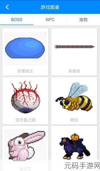 泰拉瑞亚探险新助手,揭秘秒表合成与获取全攻略