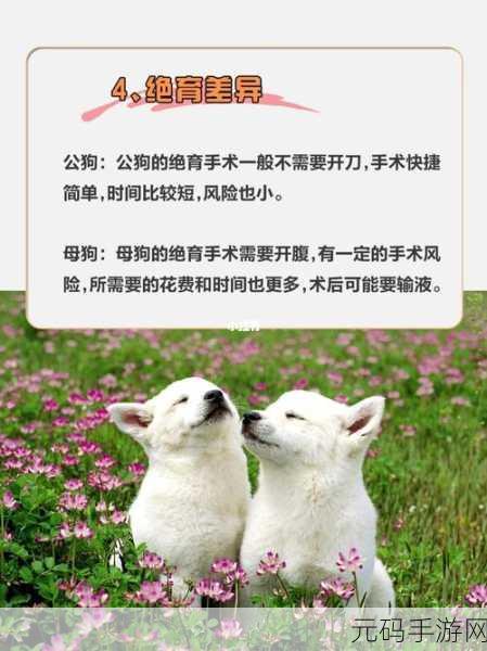 人狗胶配方大全狗狗：1. 创新人狗胶配方：提升爱犬健康的新选择