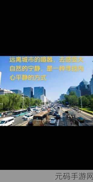 放里面不动是种什么样的感受：1. 内心宁静：在静止中感受时间的流逝