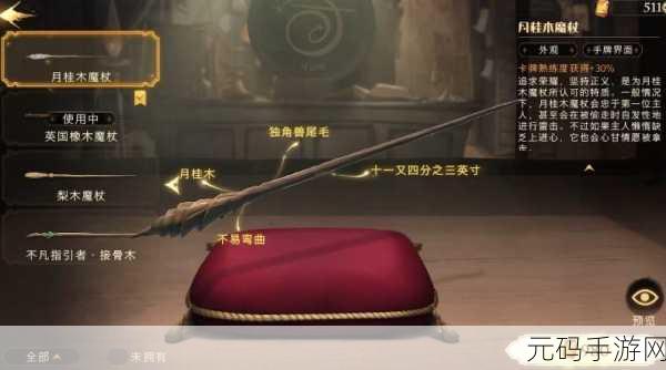 哈利波特魔法觉醒,探索魔杖的深层含义与无限可能