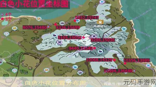 创造与魔法新地图探险,小白花位置全揭秘