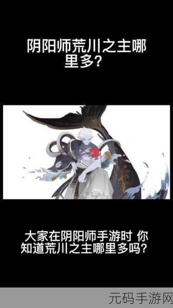阴阳师,探寻荒川之主的神秘踪迹与全面解析