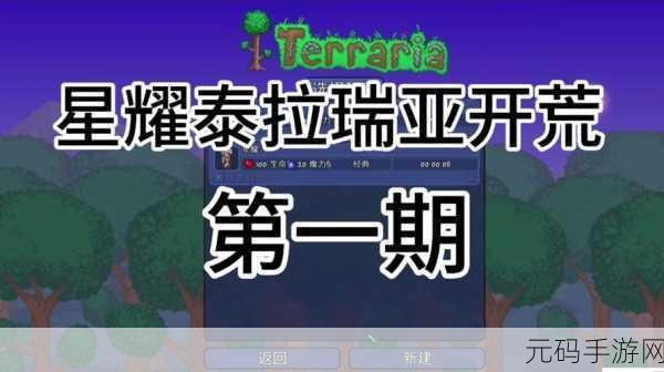 泰拉瑞亚创意工坊，打造个性化监狱房，解锁建筑新境界