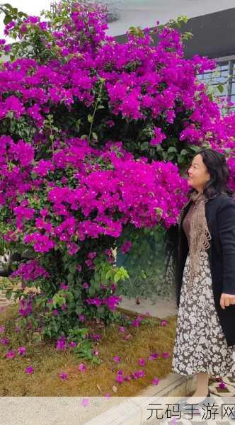 桃花村的女人周淑芬回家是第几集:关于桃花村的女人周淑芬回家的故事,可以拓展出以下