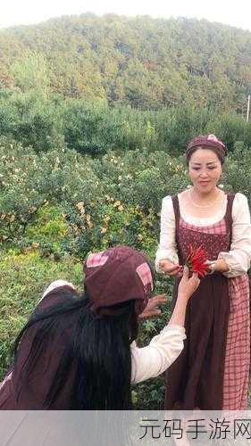 桃花村的女人周淑芬回家是第几集:关于桃花村的女人周淑芬回家的故事,可以拓展出以下