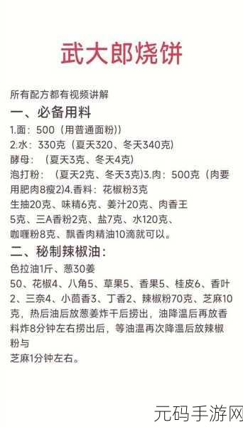 桃源深处有人家肉沫烧饼秘籍,配方与技巧全解析