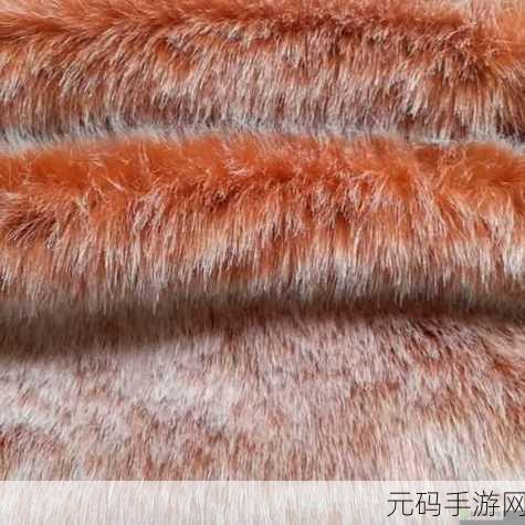 AAAA级毛皮是正规品牌吗:探寻AAAA级毛皮品牌的背景与信誉分析