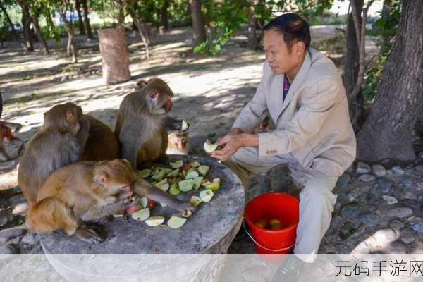 打牌生猴子的视频大全软件:1. 打牌生猴子:乐趣无穷的棋牌对战盛宴