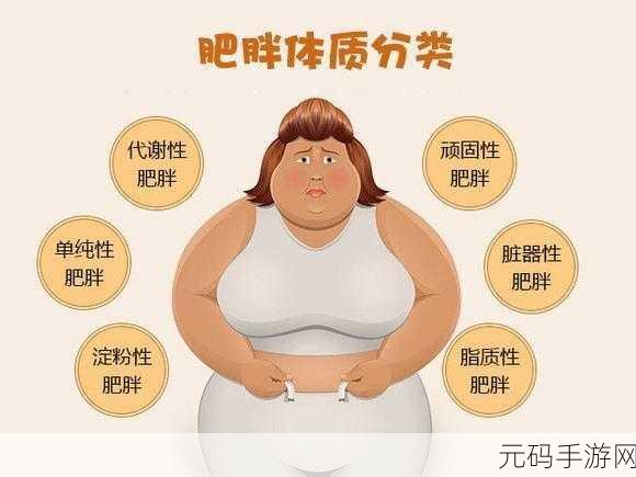 中国大肥胖VPSWINDOWS:1. 深入探讨中国大肥胖现象及其社会影响