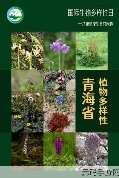 夜夜草类型多样是真的吗:1. 探索夜夜草的多样性与生态价值
